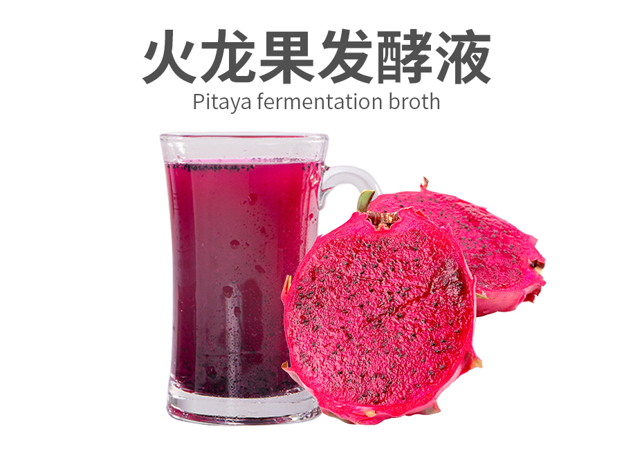 火龙果发酵液原料