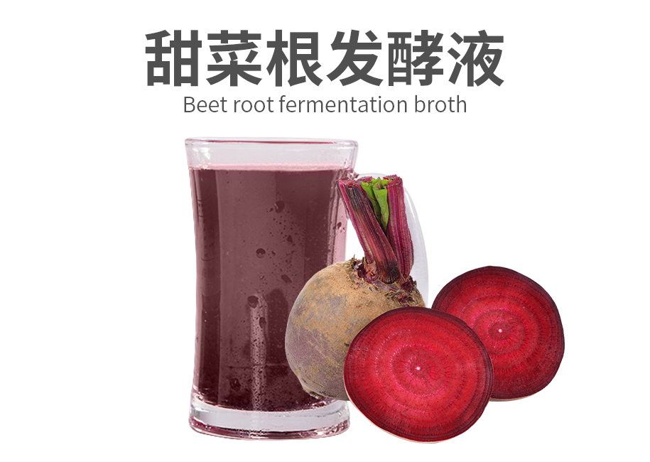 甜菜根发酵液原料