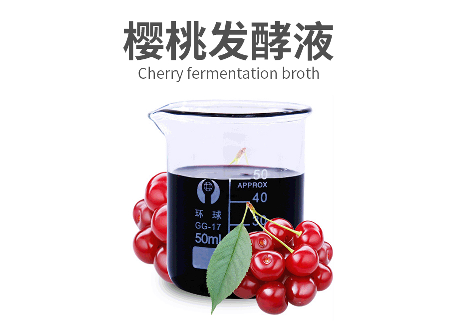 樱桃发酵液原料